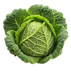 Savoy cabbage (vegetable) isolated on a transparent background