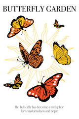 Butterfly garden, Flying butterflies, Butterfly isolated in line drawing sun, Colorful butterfly vector stock, Monarch orange butterflies flaying, Flat butterflies flying, Sun abstract with butterfly.