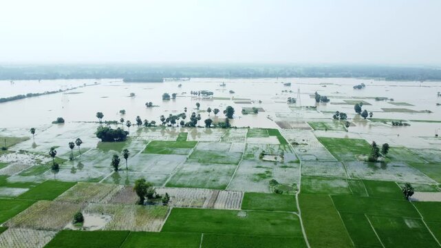 Ariel view shot of West Bengal flood by river Damodar and Mundeshwari in rainy season.