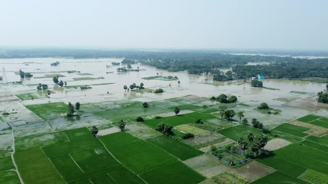 Ariel view shot of West Bengal flood by river Damodar and Mundeshwari in rainy season.