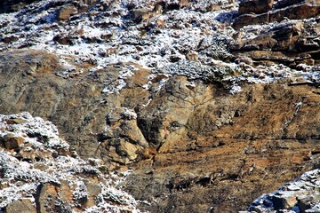 kanchenjunga base camp / circuit trek