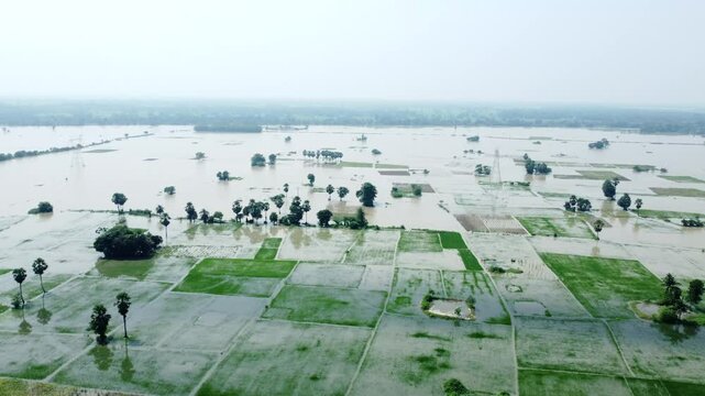 Ariel view shot of West Bengal flood by river Damodar and Mundeshwari in rainy season.