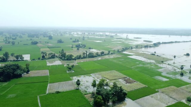 Ariel view shot of West Bengal flood by river Damodar and Mundeshwari in rainy season.