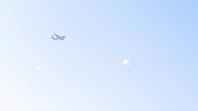 Lockheed C-130 Hercules aircraft is captured mid-flight, releasing paratroopers during military training exercise. Parachutes deploy against a clear blue sky. Airborne Ginkelse Heide, Ede, Netherlands