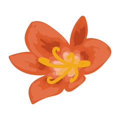 Hand Drawn Spring Flower Elegant Illustration