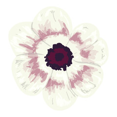 Hand Drawn Spring Flower Elegant Illustration