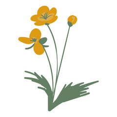 Hand Drawn Flower Illustration