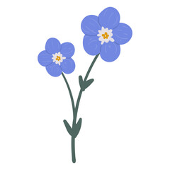 Hand Drawn Flower Illustration