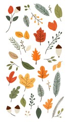 Autumn leaves, acorns, and evergreen branches vector illustration on a white background. Flat cartoon design of fall season elements for a greeting card or decoration.