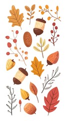 Autumn leaves, acorns, and evergreen branches vector illustration on a white background. Flat cartoon design of fall season elements for a greeting card or decoration.