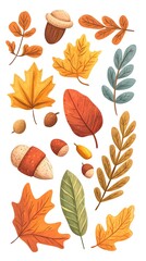 Fototapeta premium Autumn leaves, acorns, and evergreen branches vector illustration on a white background. Flat cartoon design of fall season elements for a greeting card or decoration.
