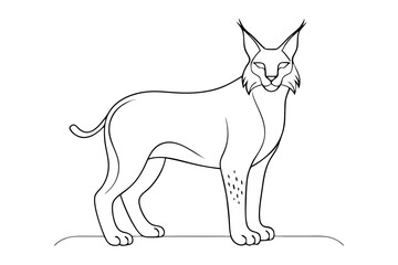 Lynx Line Art Vector