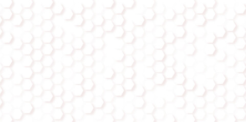 Abstract geometric white hexagon background. Seamless Hexagon Geometric Pattern in Black and White