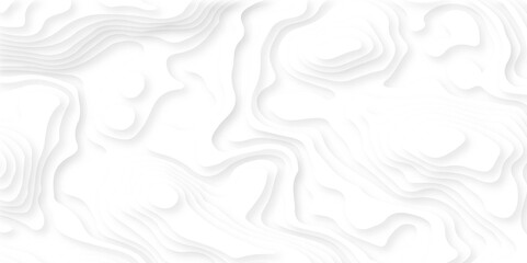 Topographic canyon geometric map relief texture with curved layers and shadow. 3d topography relief. Vector topographic illustration.