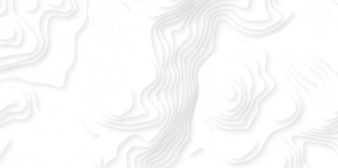 Topographic canyon geometric map relief texture with curved layers and shadow. Abstract wavy line 3d paper cut white background.