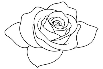 Elegant Rose Line Art Vector