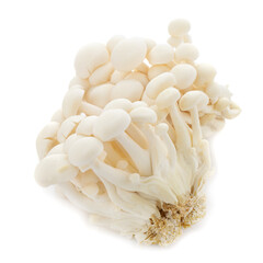 Bunapi mushroom, White beech mushrooms, Shimeji mushroom, Edible mushroom isolated on white background
