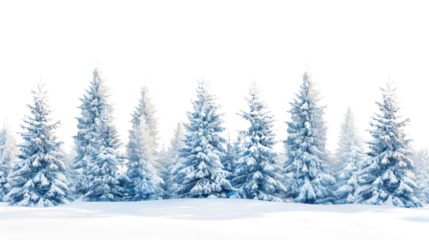 Winter landscape with pine trees covered in snow on white background