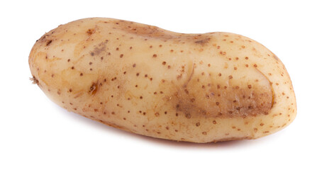 Raw potatoes isolated on white background.
