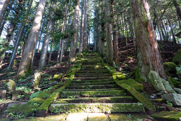 Obraz premium Daibosatsu Ridge ,Daibosatsu Pass trailhead