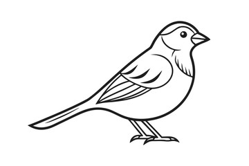 Sparrow Line Art Vector