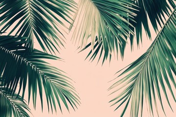 Tropical palm leaves on pastel background for serene nature vibes