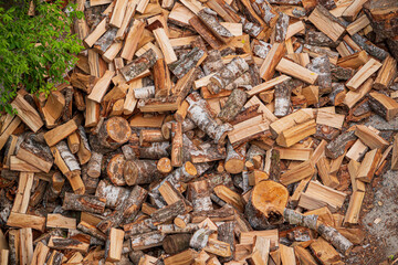 Preparing firewood for upcoming cold winter