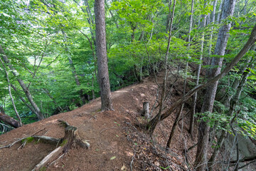 Hiking on Mountain Daibosatsu in Japan