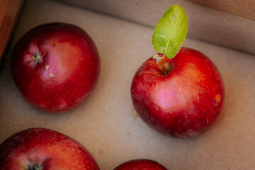 A close-up of ripe red apples, with one featuring a bright green leaf. The apples display a natural sheen, showcasing their freshness and vibrant colors