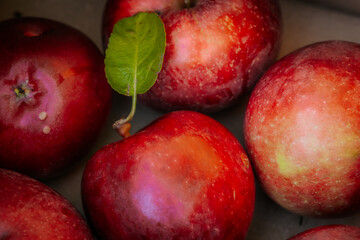 A close-up of ripe red apples, with one featuring a bright green leaf. The apples display a natural sheen, showcasing their freshness and vibrant colors