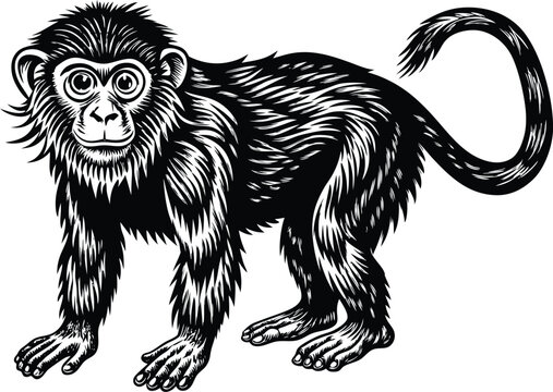 illustration of a mankey