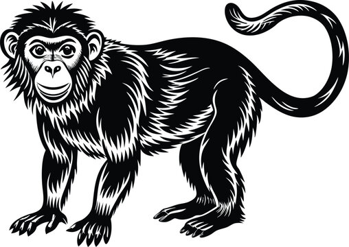 black and cartoon of a mankey