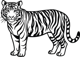Obraz premium tiger illustration