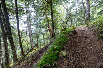 Hiking on Mountain Daibosatsu in Japan