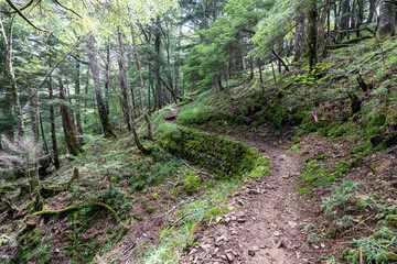 Hiking on Mountain Daibosatsu in Japan