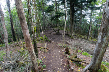 Hiking on Mountain Daibosatsu in Japan
