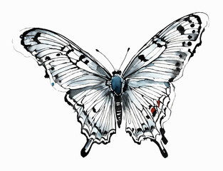 Naklejka premium butterfly sketch ornament