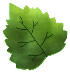 Sesame leaves with a vibrant green color, perfect for wrapping sushi or adding a fresh touch to dishes, hand-drawn watercolor painting illustration