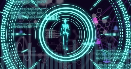 Image of scientific data processing and skeleton over dark background