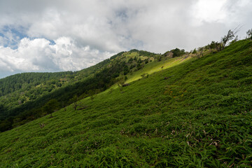 Hiking on Mountain Daibosatsu in Japan