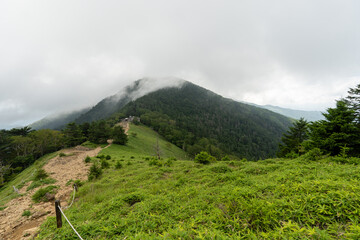 Hiking on Mountain Daibosatsu in Japan