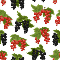 Pattern with black and red currants.Vector color pattern with red and black currants on a transparent background.