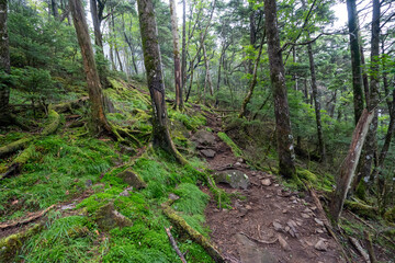 Obraz premium Hiking on Mountain Daibosatsu in Japan