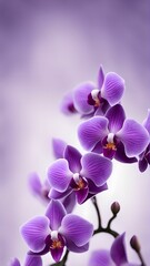 Naklejka premium Orchid