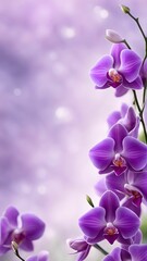Obraz premium Orchid