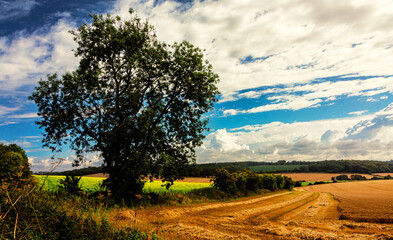 A quiet walk to Broadway in Gloucestershire in the Cotswolds
