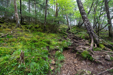 Hiking on Mountain Daibosatsu in Japan