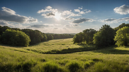 Scenic landscape with a lone tree under a vibrant sky and clouds, surrounded by lush green fields.