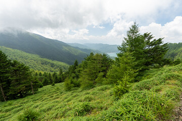 Fototapeta premium Hiking on Mountain Daibosatsu in Japan