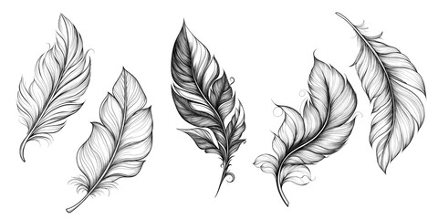 Tattoo Sketch Design Feather